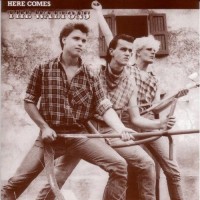 Purchase The Waltons - Here Comes The Waltons (Vinyl)