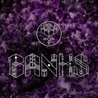 Purchase Banks - Before I Ever Met You (CDS)
