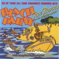 Buy Jive Bunny & the Mastermixers - Beach Party 1996 Mp3 Download