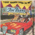 Buy Jive Bunny & the Mastermixers - That Sounds Good To Me (CDS) Mp3 Download