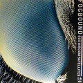 Buy Boom Boom Satellites - Fogbound (MCD) Mp3 Download