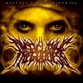 Buy Disfiguring The Goddess - Circle Of Nine Mp3 Download
