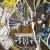 Buy Bon Jovi - What About Now Mp3 Download