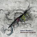 Buy Robert Bradley's Blackwater Surprise - Out Of The Wilderness Mp3 Download