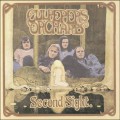 Buy Culpeper's Orchard - Second Sight (Vinyl) Mp3 Download