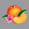 Buy Phoenix - Bankrupt! Mp3 Download