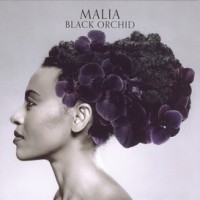 Purchase Malia - Black Orchid