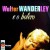 Purchase Walter Wanderley- Walter Wanderley E O Bolero (Vinyl) MP3