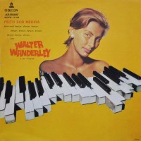 Purchase Walter Wanderley - Feito Sob Medida (Vinyl)