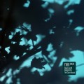 Buy Maps And Diagrams - The Giant Woods Mp3 Download