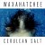 Buy Waxahatchee - Cerulean Salt Mp3 Download