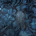 Buy Portal - Vexovoid Mp3 Download