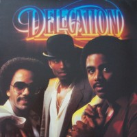 Purchase Delegation - Delegation Ii (Vinyl)