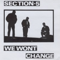 Purchase Section 5 - We Wont Change (Vinyl)