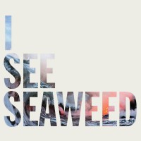 Purchase The Drones - I See Seaweed