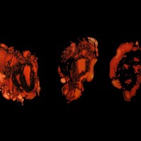 Purchase Deathspell Omega - Kénôse (EP)