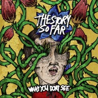 Purchase The Story So Far - What You Don't See