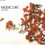 Buy Magic Dirt - Locket (CDS) Mp3 Download