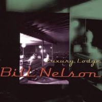 Purchase Bill Nelson - Luxury Lodge