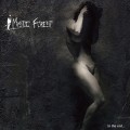 Buy Mystic Forest - In The End... Mp3 Download