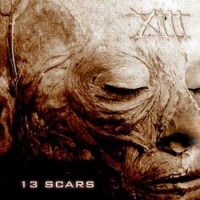 Purchase 4Arm - 13 Scars