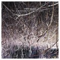 Buy Robin Guthrie - Winter Garden (With Eraldo Bernocchi, Harold Budd) Mp3 Download