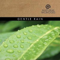 Purchase David Arkenstone - Gentle Rain