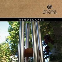 Purchase David Arkenstone - Windscapes