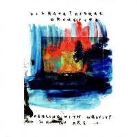 Purchase Vibracathedral Orchestra - Dabbling With Gravity And Who You Are