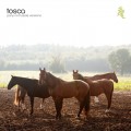 Buy Tosca - Pony No Hassle Versions Mp3 Download