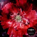 Buy Blitz Kids - Vagrants & Vagabonds Mp3 Download