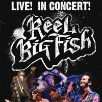 Purchase Reel Big Fish - Live! In Concert!