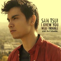 Purchase Sam Tsui - I Knew You Were Trouble (CDS)