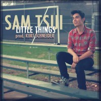 Purchase Sam Tsui - Little Things (CDS)