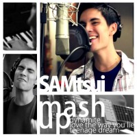 Purchase Sam Tsui - Love The Way You Lie (CDS)