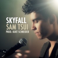 Purchase Sam Tsui - Skyfall (CDS)