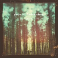 Purchase Fossil Collective - Tell Where I Lie (Bonus Track Version)