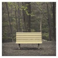 Purchase Streetlight Manifesto - The Hands That Thieve