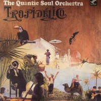 Purchase The Quantic Soul Orchestra - Tropidelico