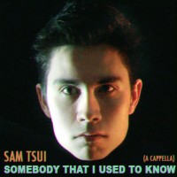 Purchase Sam Tsui - Somebody That I Used To Know (A Cappella) (CDS)