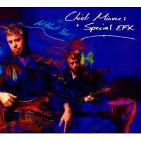 Purchase Chieli Minucci - Without You (With Special EFX) CD1