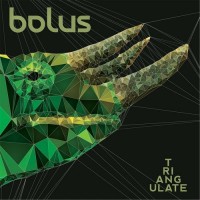 Purchase Bolus - Triangulate