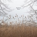 Buy Paula Cole - Raven Mp3 Download