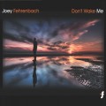 Buy Joey Fehrenbach - Don't Wake Me Mp3 Download