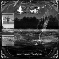 Purchase Wilt - Undercurrent & Floodplain (EP)
