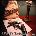 Buy The Bredrin Daddys - Bag O Tricks Mp3 Download