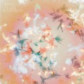Buy Bibio - Silver Wilkinson (Japanese Edition) Mp3 Download