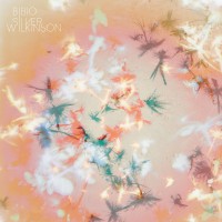Purchase Bibio - Silver Wilkinson (Japanese Edition)