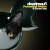 Buy Deadmau5 - Professional Griefers (CDS) Mp3 Download