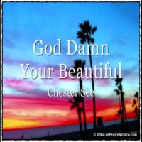 Purchase Chester See - God Damn You're Beautiful (CDS)